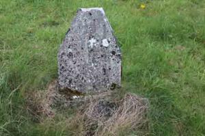 Drudy Mary
